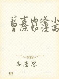 莉吉内塔小姐的冒险动漫高清免费观看