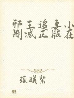 邪王追妻小说无删减正版在线阅读