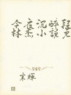 今夜沉醉段雪娇林杰小说免费阅读