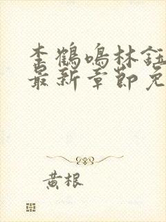 李鹤鸣林钰小说最新章节免费阅读