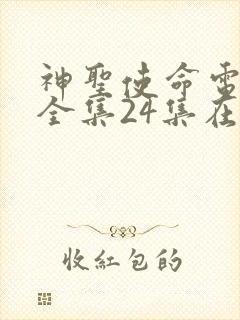 神圣使命电视剧全集24集在线观看