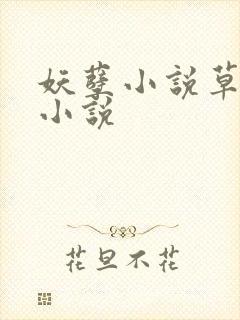 妖孽小说草莓酱小说