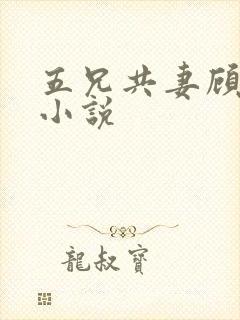 五兄共妻顾心儿小说
