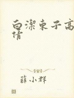 白洁东子高义孙倩封面