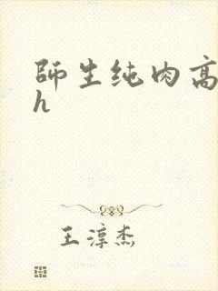 师生纯肉高污高h