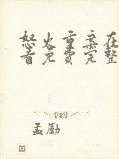 怒火重案在线观看免费完整版