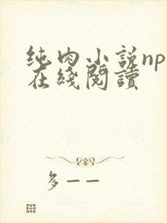 纯肉小说np文在线阅读