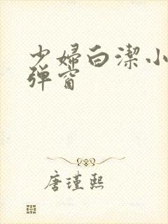 少妇白洁小说无弹窗