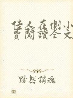 佳人在侧小说免费阅读全文无弹窗