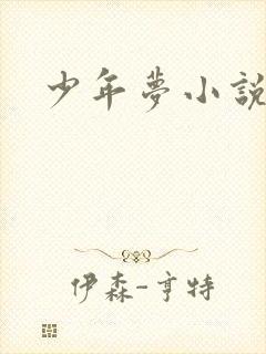 少年梦小说封面