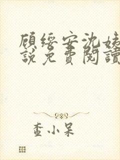 顾绥安沈姨娘小说免费阅读无弹窗笔趣阁