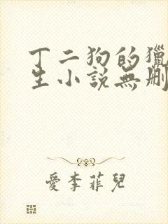 丁二狗的猎艳人生小说无删减小说