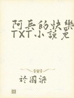 阿兵的快乐生活TXT小说免费阅读全章封面