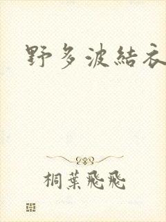 野多波结衣