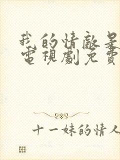 我的情敌是自己电视剧免费观看全集封面