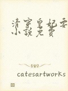 清穿皇妃要娇养小说免费