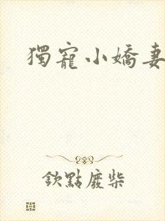 独宠小娇妻