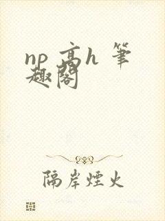 np 高h 笔趣阁