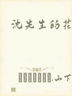 沈先生的花式调