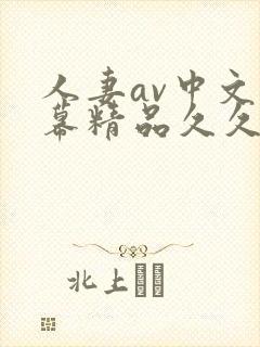 人妻av中文字幕精品久久