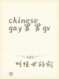 chinesegay男男gv