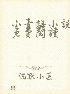 小青梅小说全文免费阅读