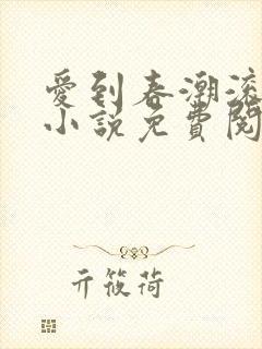 爱到春潮滚滚来小说免费阅读