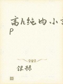 高h纯肉小说np