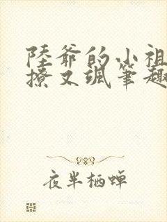 陆爷的小祖宗又撩又飒笔趣阁