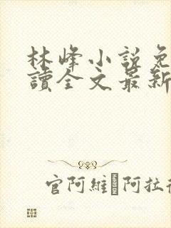 林峰小说免费阅读全文最新章节封面