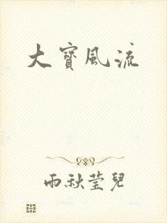 大宝风流