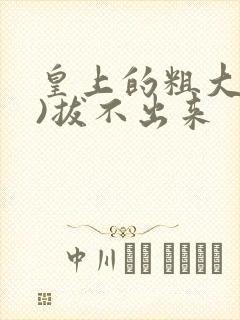 皇上的粗大(h)拔不出来