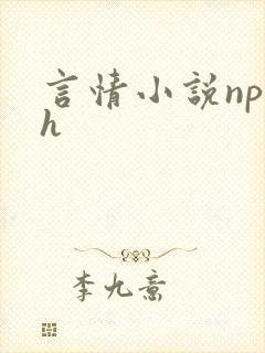 言情小说np高h