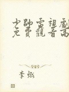 少帅电视剧全集免费观看高清