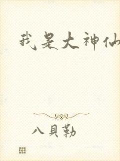 我是大神仙小说