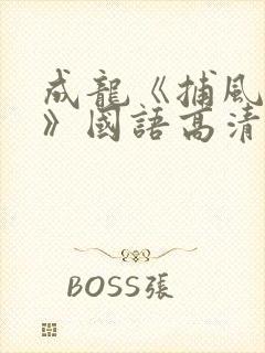 成龙《捕风捉影》国语高清在线观看封面