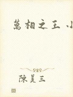 万相之王 小说封面