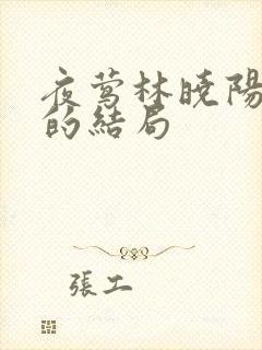 夜莺林晓阳最后的结局