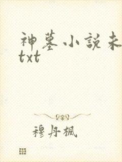 神墓小说未删版txt