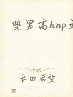 双男高hnp文