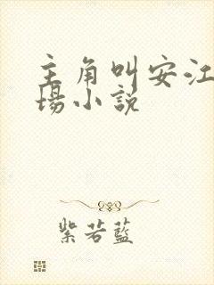 主角叫安江的官场小说