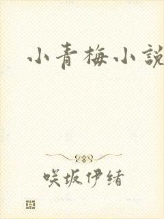 小青梅小说
