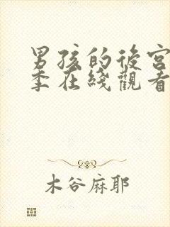 男孩的后宫第一季在线观看