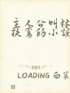 主人公叫林辰柳扶鸾的小说