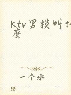 ktv男模叫什么