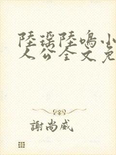 陆瑶陆鸣小说主人公全文免费阅读笔趣阁