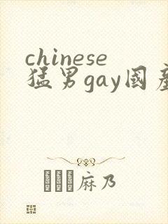 chinese猛男gay国产网站