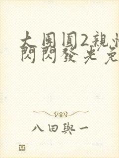 大团圆2亲情会闪闪发光免费