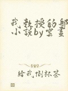 我教授的那些年小说by云昼封面