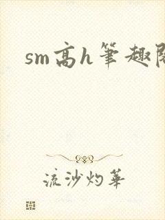sm高h笔趣阁